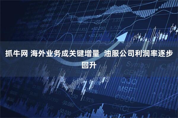 抓牛网 海外业务成关键增量  油服公司利润率逐步回升