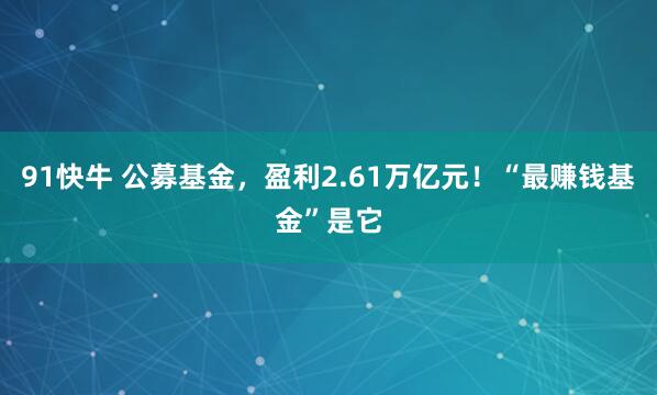 91快牛 公募基金，盈利2.61万亿元！“最赚钱基金”是它